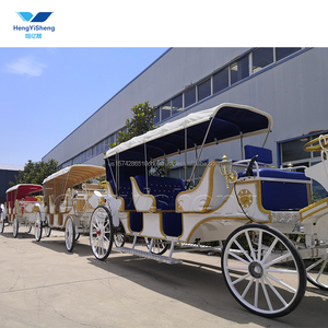 Carruaje de caballos eléctrico de 9 plazas de lujo para turismo y bodas Transporte especial - Product Image 5