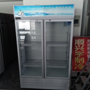 スーパーマーケットの商業冷凍庫ガラスドアのスイングガラスドア冷蔵庫直立飲料ディスプレイチラー - Product Image 5