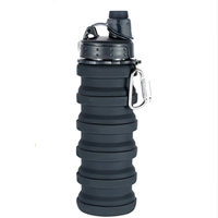 Bouteille d'eau pliable classique en silicone 500 ml – Écologique, qualité alimentaire, non toxique – Gourde de sport et de voyage