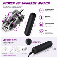 Tragbarer Mini-Sexvibrator 10 Modi Flüsterleise Wasserdicht USB-Aufladbar Medizinisches Silikon für Frauen