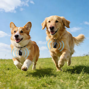 Traceur GPS BR13 4G en gros – Dispositif de suivi SIM GPS - Product Image 5