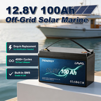 Batterie au phosphate de fer et de lithium TPENERGY 12,8 V 100 Ah, 5000 cycles, cellules de qualité A, hors réseau, solaire, camping-car, marine, 4670 -20~60