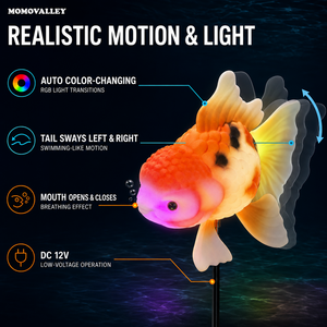 Lampe <span class=keywords><strong>Poisson</strong></span> <span class=keywords><strong>Rouge</strong></span> Lumineuse DC12V à Effet de Queue Cinétique pour Hôtels, Halls d'Accueil et Projets d'Aquariums – Vente en Gros pour Exportateurs - Product Image 3