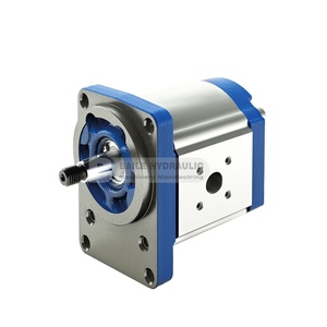 Bomba de Engranajes Externos de Desplazamiento Fijo Serie AZPF AZPGGFF AZPF004 AZPF011 AZPF016 AZPF022 AZPF025 AZPF028 - Product Image 5