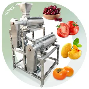 Máquina de pulverização de purê de frutas e tomates, suco de manga, processo de frutas, caramelo e caqui, máquina de pulverização de frutas