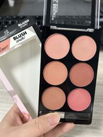 Palette de fards à joues 6 couleurs en gros, fini mat naturel, maquillage longue tenue, waterproof, pigmenté, cosmétique pour le visage
