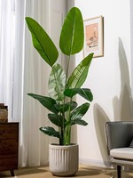 Palmier artificiel réaliste de qualité supérieure, plante tropicale artificielle résistante aux UV pour l'aménagement paysager intérieur et extérieur de luxe et la décoration d'hôtels