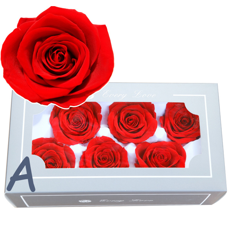 Eternal Flower Everlasting Rose a Grade