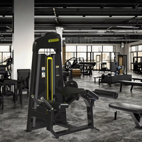 REYK Prone Leg Curl Steel Mini Loader – Équipement de musculation réglable pour la musculation