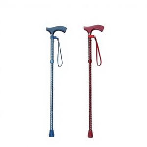 Canne de marche avec embout en caoutchouc, poignée en T, tige en alliage d'aluminium, capacité de 250 lb - Product Image 1