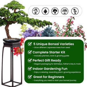 Kit complet de culture de bonsaï japonais, 5 pièces, coffret <span class=keywords><strong>cadeau</strong></span> de <span class=keywords><strong>jardinage</strong></span> unique, outils, jardinières <span class=keywords><strong>pour</strong></span> hommes et femmes, <span class=keywords><strong>pour</strong></span> Noël, anniversaire - Product Image 5