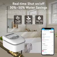Válvula de Agua Inteligente Zigbee 3.0 NAS-WV11B N20 N15 N25 40 Bar con Detección de Fugas, Latón, Automatización del Hogar, Batería Recargable 18650, IP65