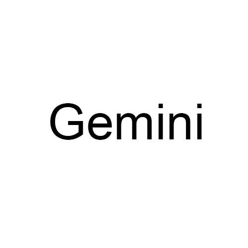 white/gemini