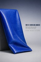 Bâche en polyéthylène tissé PE extra résistante 250 GSM pour la couverture de marchandises et la construction