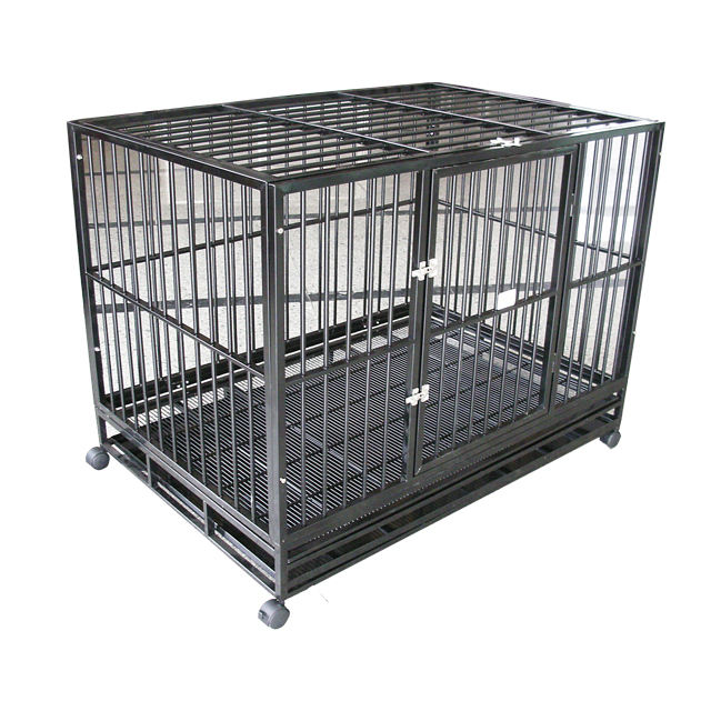 Petsmart Large Dog Crate For Sale Near Me Top Paw® Single Door