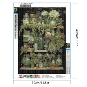 Kits de peinture diamant DIY personnalisé 30*40 5D Mosaic Art wonderful house Decorative Succulent plant world Painting Printed - Product Image 1