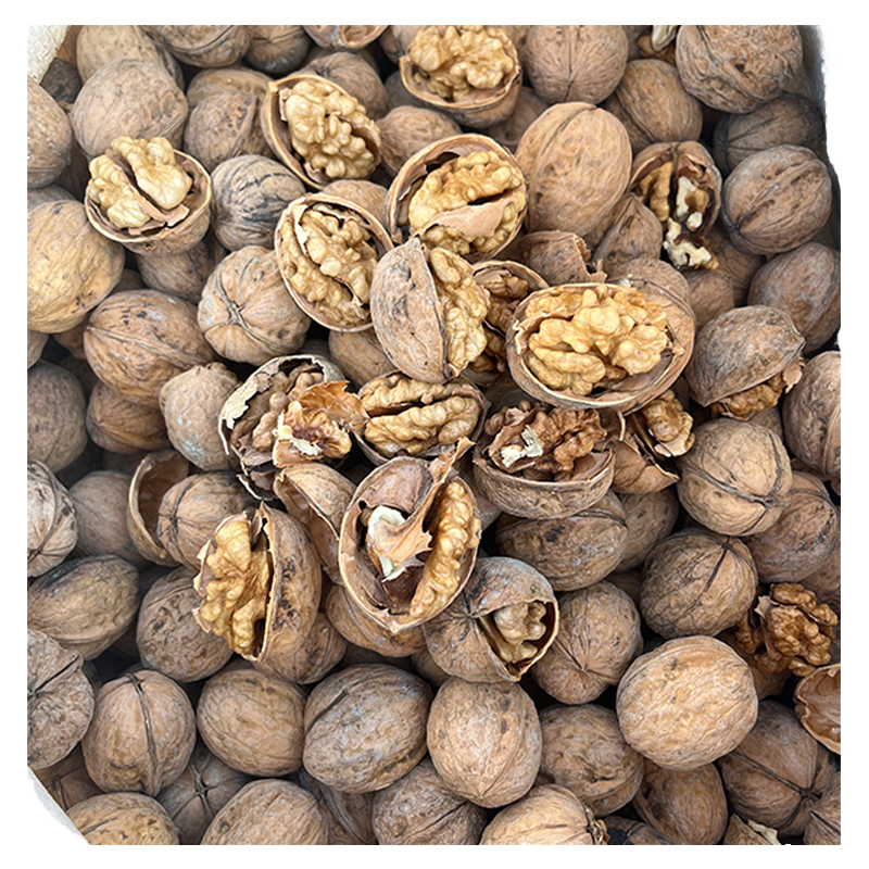 Walnuts In shell Washed Unwashed and