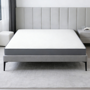 Matelas à ressorts ensachés moderne hypoallergénique respirant écologique durable taille simple fermeté moyenne enroulable en boîte pour la maison - Product Image 1