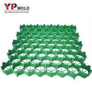 Moule d'injection plastique personnalisé de haute qualité pour la fabrication de grands grilles de pavage de toiture pour la plantation d'herbe