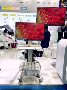 <span class=keywords><strong>Vaginoscope</strong></span> vidéo numérique Kernel HD KN-2200I caméra électronique colposcope système d'imagerie pour le diagnostic gynécologique - Product Image 4