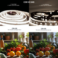 Haute qualité Cob LED bande lumières gradateur Kits Flexible USB connecté Smart LED bande pour la décoration de la maison 24V plastique corps voix