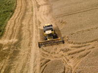 Machines agricoles d'approvisionnement d'usine 85HP moissonneuse-batteuse diesel AW85G pour le riz et le blé à vendre