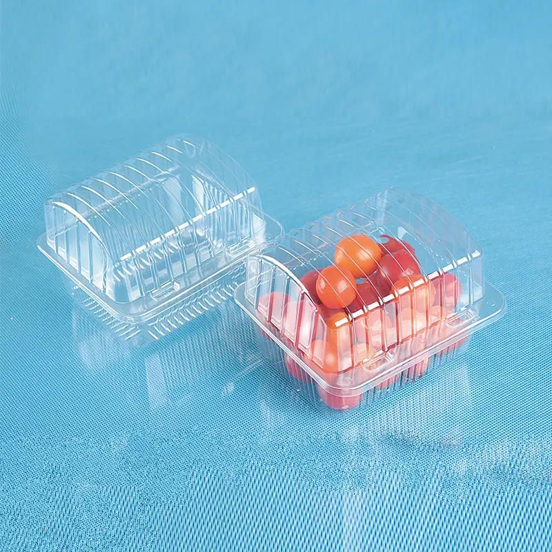 Fabricación Whosale Caja de plástico transparente desechable para alimentos Caja de frutas Contenedor de plástico desechable para alimentos