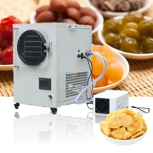 2024 1kg 3kg 6kg 10kg Small Home Fruit Mini Lyophilizer Vegetable Freeze Drying Machine Freeze Dryer