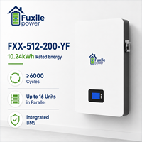 Batterie LiFePO4 murale 51,2 V 200 Ah 10,24 kWh, IP65, avec BMS intégré, 6000 cycles, RS485 CAN RS232, pour stockage d'énergie solaire domestique