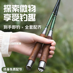 Mini Fishing Rod 28cm Ultralight Soft Action Stream Rod Freshwater Fishing Gear - Product Image 4