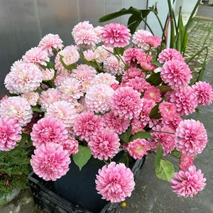 <b>Artificial</b> Dahlia Flowers Silk Scented Single Branch Wedding Home Decor G 01 - Product Image 2