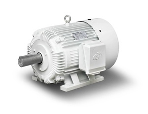 มอเตอร์ปั๊มน้ำมันแบบ 3 เฟส รุ่น Design D 405T 900RPM 60 รอบต่อนาที สำหรับบ่อน้ำมัน OWW608405T 60 มอเตอร์ OWW608405T - Product Image 1