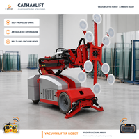 Robot de levage à ventouse télécommandé certifié SO/CE/RoHS, capacité 1000 kg, pour une utilisation facile et sécurisée, ventouse intelligente