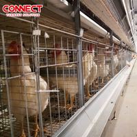 Équipement d'élevage avicole 50000 60000 70000 80000 100000 150000, système de cages à poulets automatiques de type H pour élevage de poulets de chair