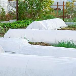 ผ้านอนวูฟเวนลอยน้ำได้คลุมต้นไม้ป้องกันความเย็นจัดสวนสำหรับฤดูหนาวเกษตรกรรม - Product Image 3