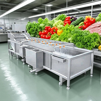Groente- en fruitwasmachine, snijmachine en reinigingslijn met hoogfrequente vibratie