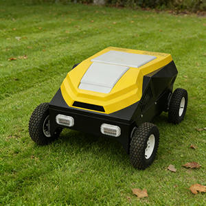 Snelle verzending Mulch systeem rubberen wiel grasmaaier steile helling grasmaaier 530mm 4-takt op afstand bestuurbare grasmaaier - Product Image 1