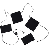 Coussin chauffant 5V, 12V pour vêtements, semelle intérieure, gant
