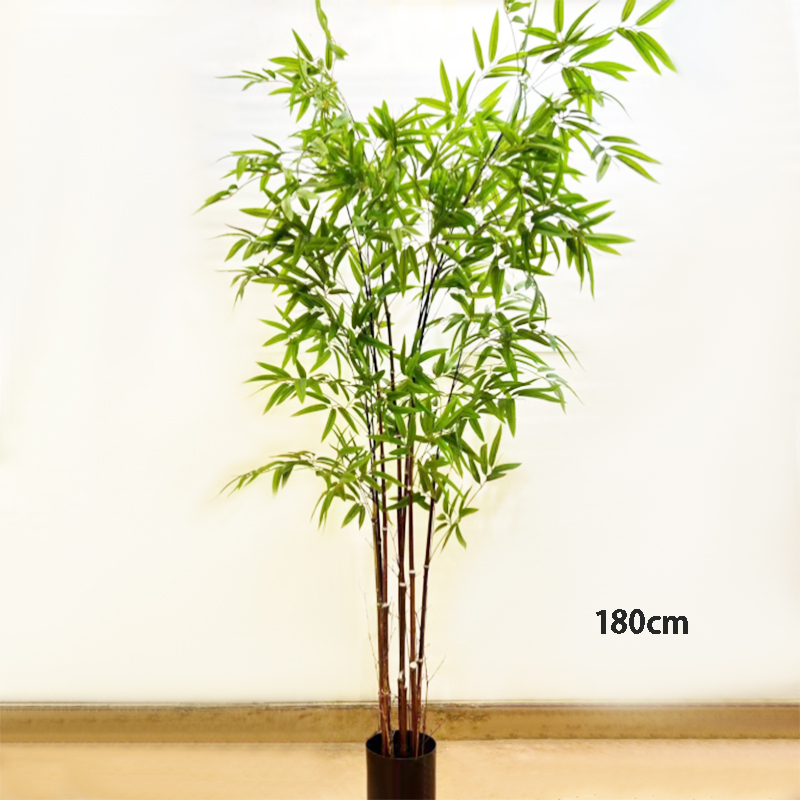 purple-180cm