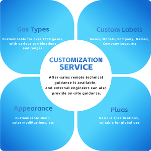 เครื่องวิเคราะห์ก๊าซเดี่ยวแบบพกพาพร้อมหน้าจอ LED ที่คล้ายกับเครื่องตรวจจับการรั่วไหลของ H2เดี่ยว <span class=keywords><strong>BW</strong></span> O2เครื่องตรวจจับการสั่นสะเทือนของก๊าซการใช้งานในอุตสาหกรรม - Product Image 6
