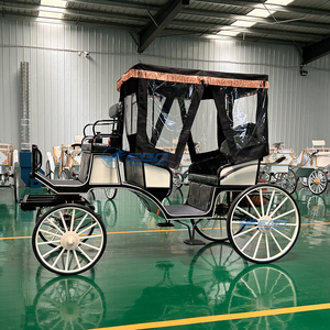 Nueva luz a juego de colores <span class=keywords><strong>en</strong></span> blanco y negro, turismo de lujo, carruaje tirado por caballos, carruaje Royal Sightseeing Victoria con dosel - Product Image 5