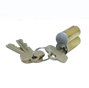 SFIC Lock Cylinder Master Key 4 Levels Of Control Mortise Cylinder Core