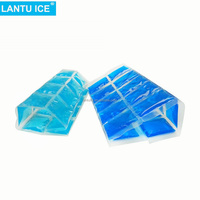 Sac de glace pour le déjeuner PVC souple PEPA garder les aliments frais glacière gel de refroidissement pack de glace sèche 12 grilles pack de glace en gel pack de refroidissement