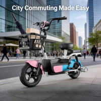 Vélo électrique multifonctionnel 14 pouces 48V 350W avec télécommande, pneus à vide, vélo intelligent pour la ville