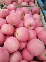 Nouvelle saison, prix de gros des pommes, pommes Fuji de haute qualité, pommes rouges fraîches en provenance de Chine