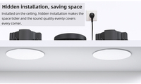Module amplificateur pour haut-parleur de plafond Texas Instruments avec puce Hi-Fi, prise en charge du réseau, Bluetooth, AirPlay, DLNA et lecture multi-sources musicales