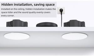 Module amplificateur pour haut-parleur de plafond Texas <span class=keywords><strong>Instruments</strong></span> avec puce Hi-Fi, prise en charge du réseau, Bluetooth, AirPlay, DLNA et lecture multi-sources musicales - Product Image 6