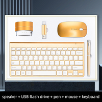 Cadeau d'affaires pour cadres : 5 en 1 Peaker + Clé USB sans fil (16 Go) + Stylo + Souris sans fil + Clavier sans fil