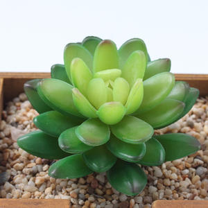 Arreglo de flores suculentas artificiales populares Plantas suculentas grandes realistas para vegetación de terrario al aire libre e interior - Product Image 5