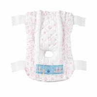 En gros Couches pour chien femelle respirantes non-tissées à taille élastique avec protection anti-fuites XXS-XL pour soins intérieurs OEM ODM